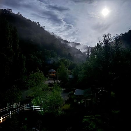 فيلا Lee Manor والهالا المظهر الخارجي الصورة